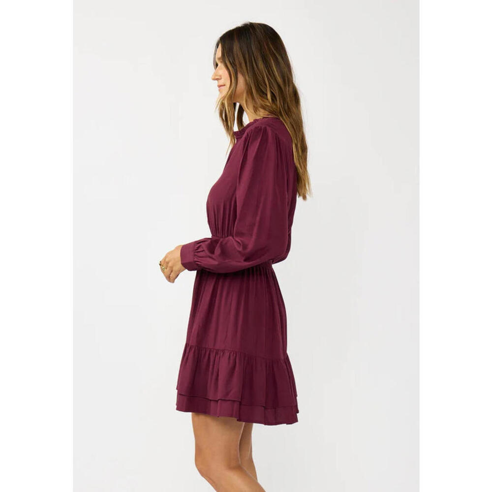 Sable Mini Dress - Picture 3 of 3